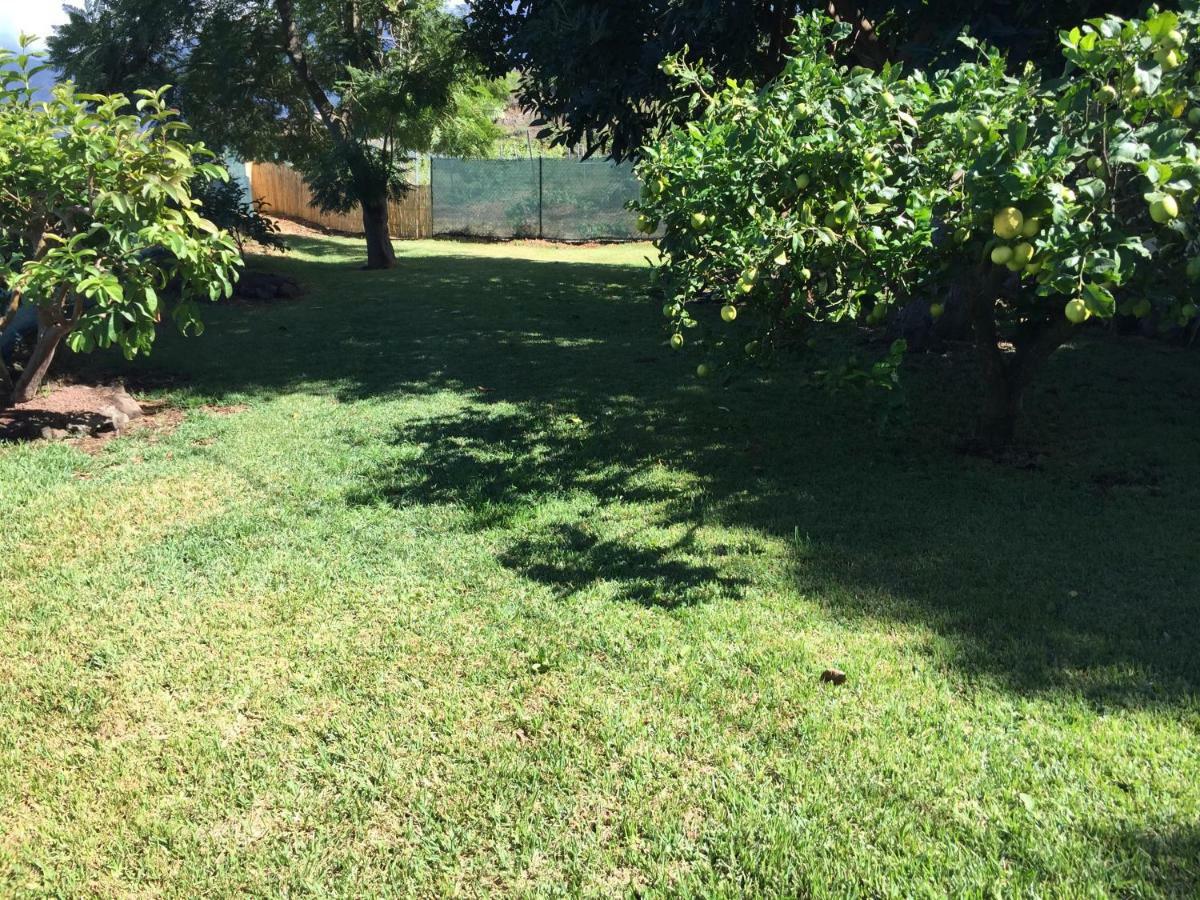 Casitas Las Uvas Y Las Vinas Los Realejos Exterior foto